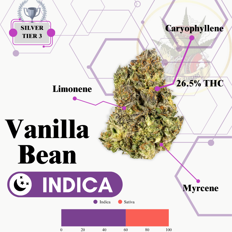 VANILLA BEAN (INDICA) -EXCLUSIVE