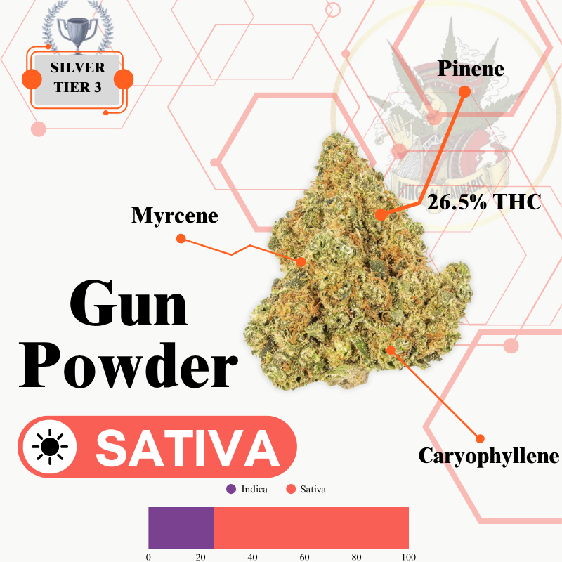 GUN POWDER (SATIVA) -EXCLUSIVE