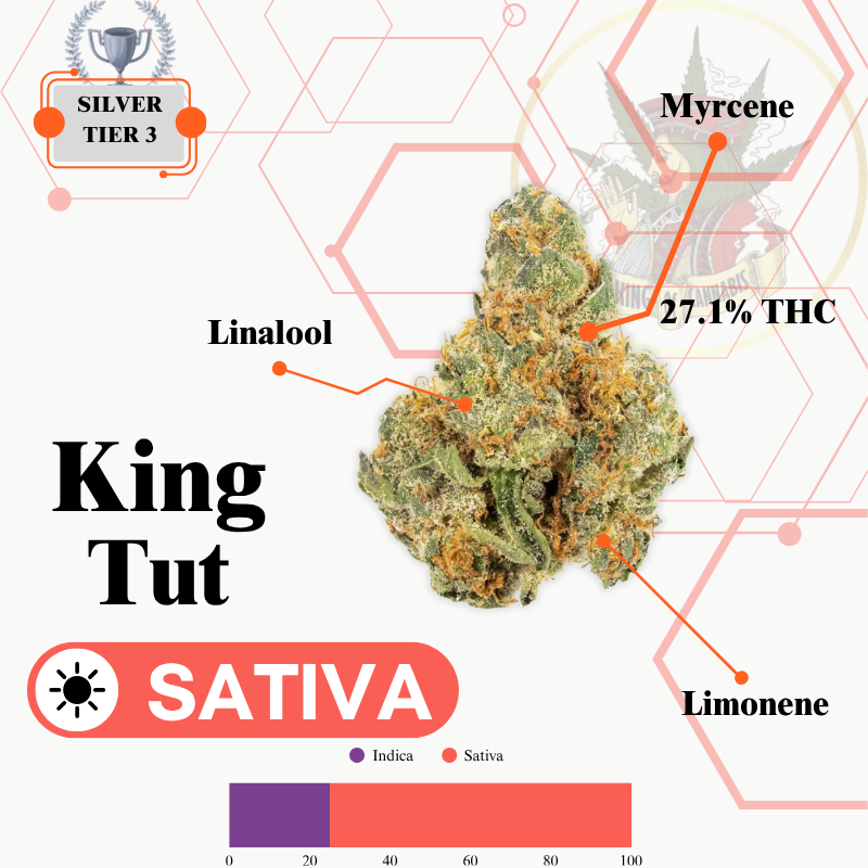 KING TUT (SATIVA) -EXCLUSIVE