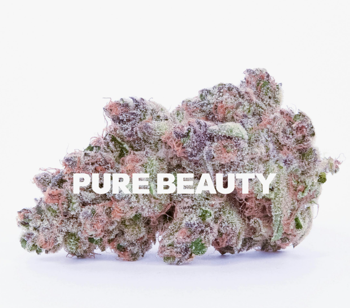 Cherry Tart 3.5g Flower (Pure Beauty)