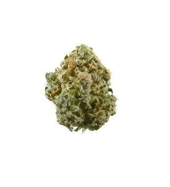 Close-up of a cannabis bud on a white background