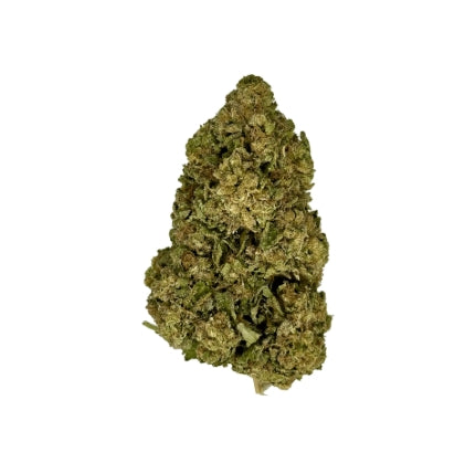 JEALOUSY MINTZ (MID OUTDOOR SPECIAL)