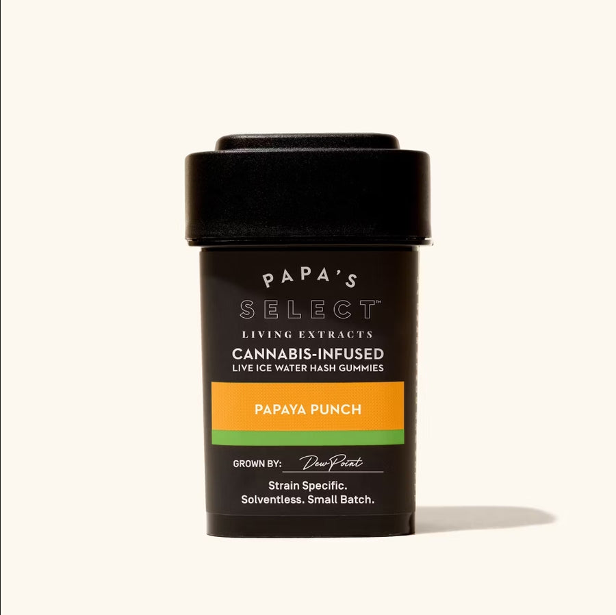 Sweet Papaya Punch, Solventless Ice Water Hash Gummies 100mg (Papa's Select)