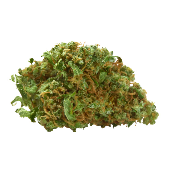 STARDUST OG (OUTDOOR LOW QUALITY FLOWER)