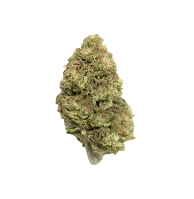 FATSO (MID OUTDOOR SPECIAL)