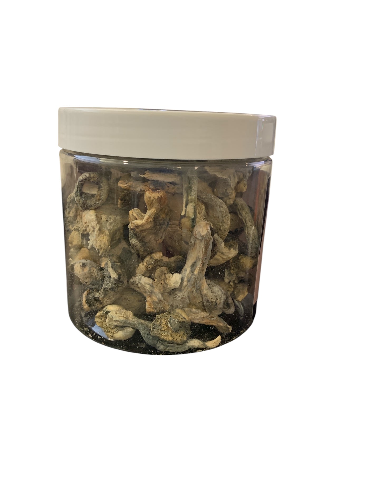 GOLDEN FLEECE - PSILOCYBE CUBENSIS ORGANIC FRUITING BODY 28 ALBINO