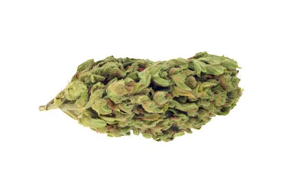 WHITE BUFFALO (MID OUTDOOR SPECIAL)