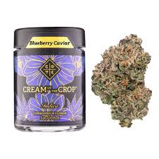 Blueberry Caviar Indica Flower 3.5g (Cream of the Crop)