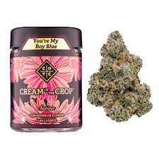 You're My Boy Blue Sativa Flower 3.5g (Cream of the Crop)