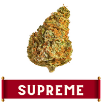 SUPER GLUE (HYBRID)