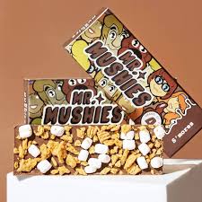 S'mores Swiss Mushroom Chocolate 4G (Mr. Mushies)